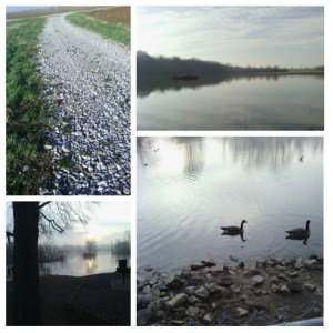 11007776_1579127839040955_1396558864_n