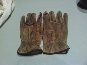 11349928_10203016080321323_1648043515_n