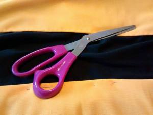 11124730_10203171220639734_1641750785_n