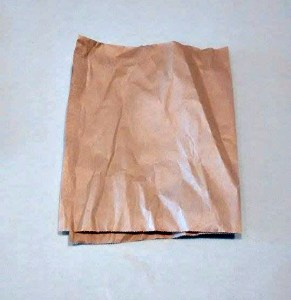 11173519_10203134255475628_1878522399_n