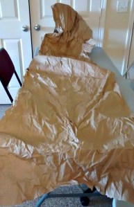 11418248_10203134255115619_882160099_n