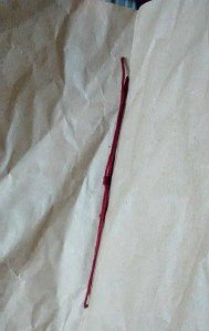 11418622_10203134255915639_1855351997_n