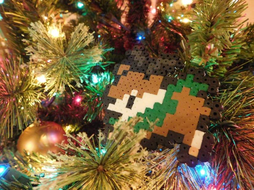 12380668_10203932829879489_372408116_o